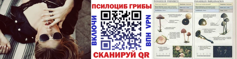 Псилоцибиновые грибы Psilocybe  ссылка на мегу   Шахты 