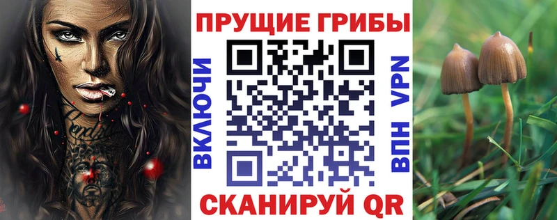 Псилоцибиновые грибы Magic Shrooms Шахты