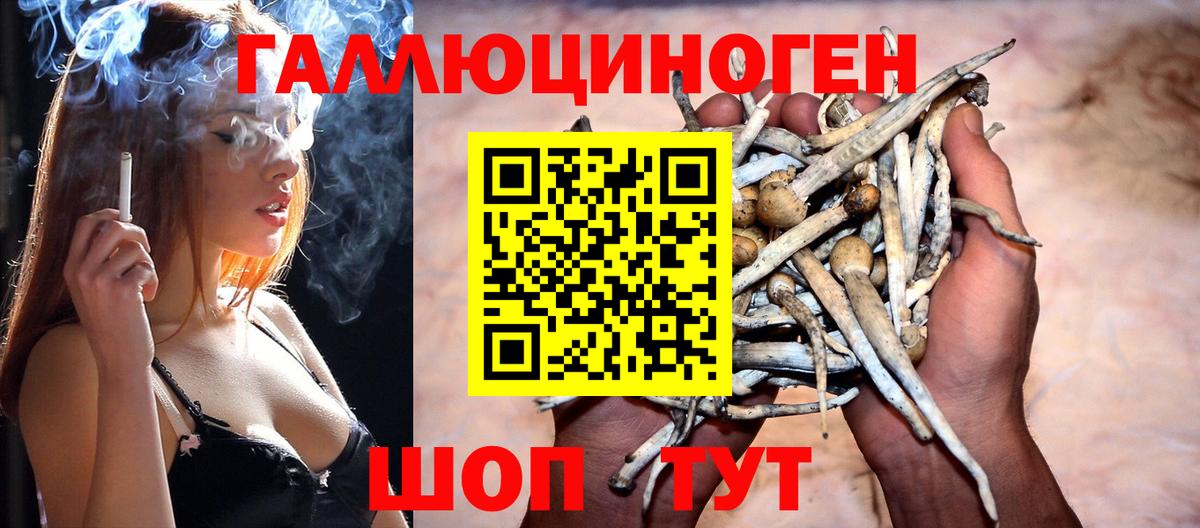 Псилоцибиновые грибы Magic Shrooms Шахты